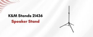 IsoAcoustics vs. K&M vs. 5 Core: Which Speaker Stand Reigns Supreme?